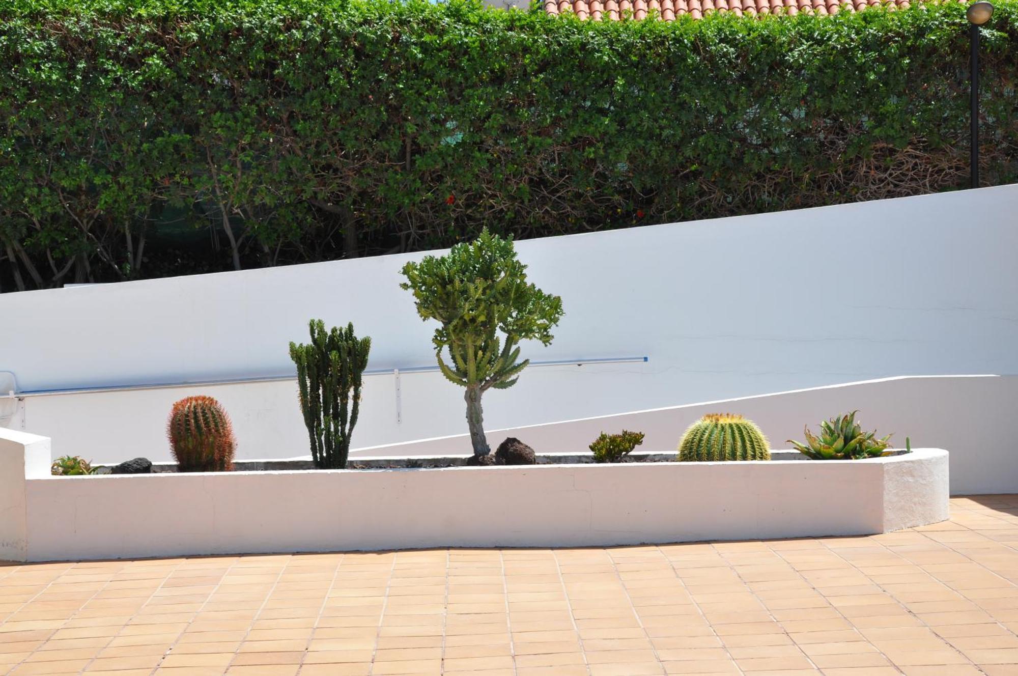 Serenity Garden Maspalomas  Buitenkant foto