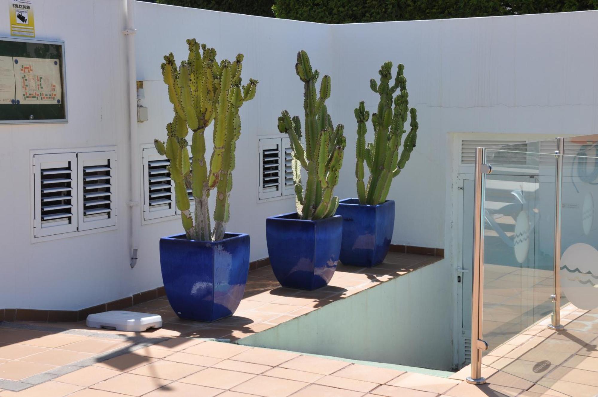Serenity Garden Maspalomas  Buitenkant foto