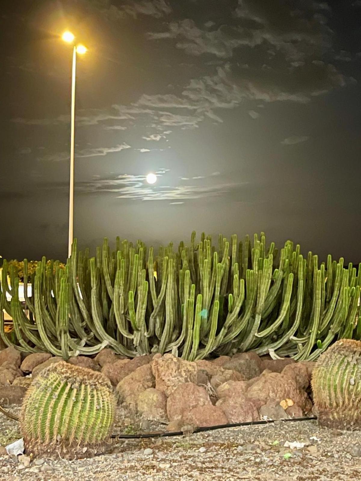 Serenity Garden Maspalomas  Buitenkant foto