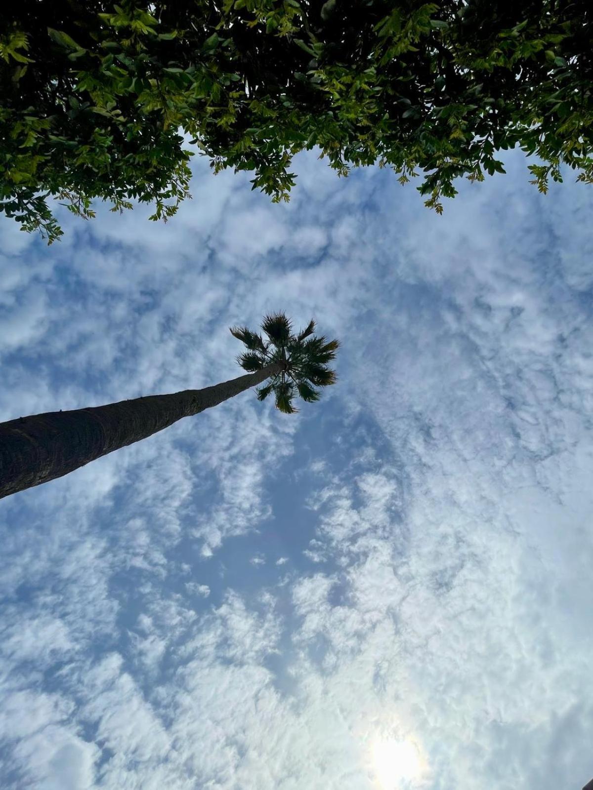 Serenity Garden Maspalomas  Buitenkant foto